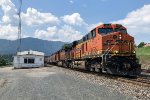 Westbound Grain at Thompson Falls